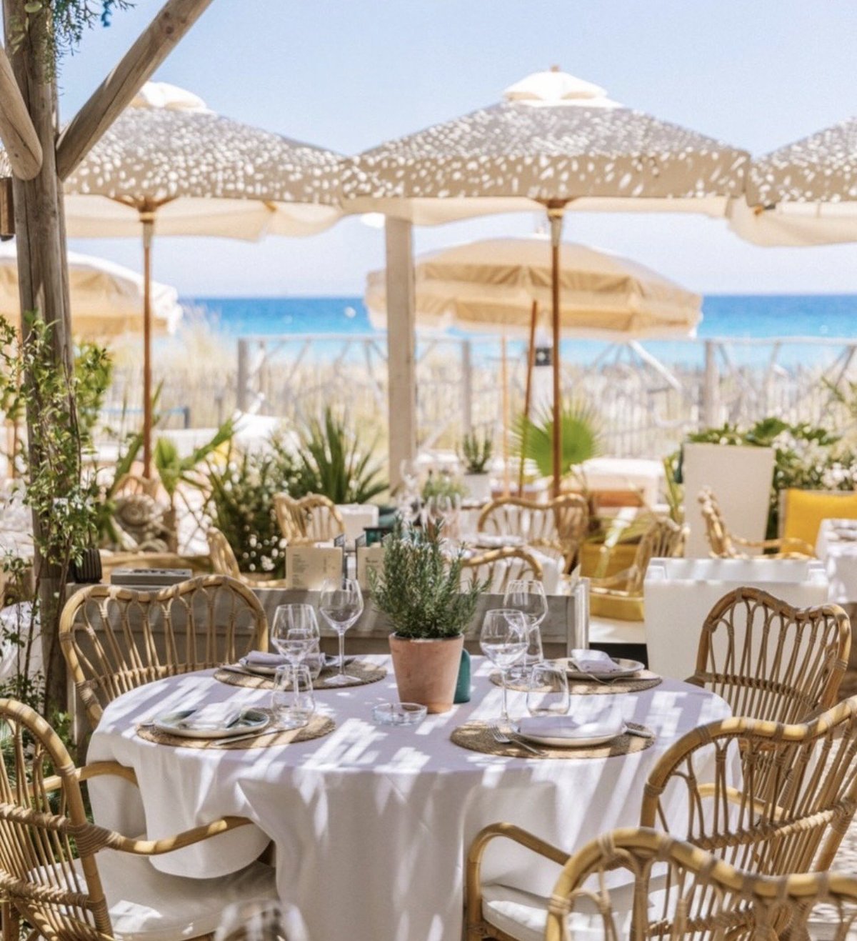 Shellona St. Tropez