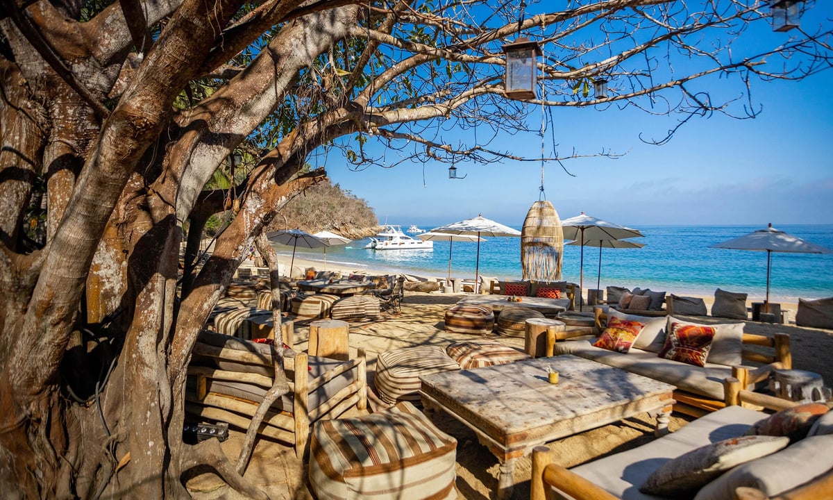 Beachfront cafe with wooden lounge chairs and umbrellas under a gnarled tree, overlooking turquoise Mediterranean waters