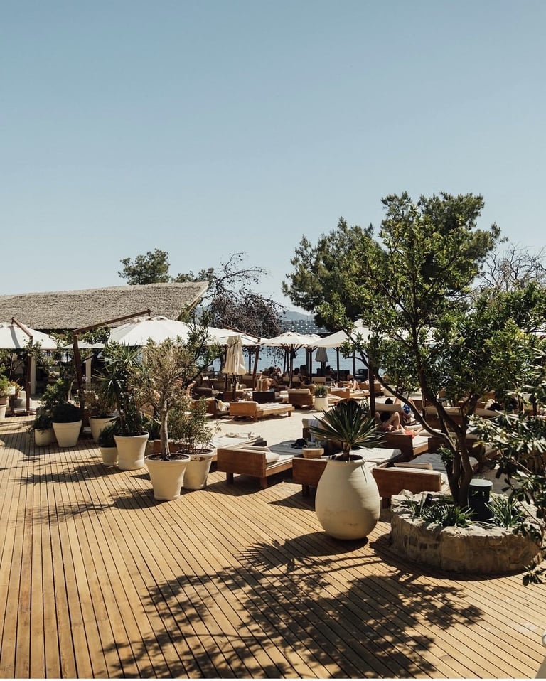 A sunny rooftop terrace with wooden deck, potted plants, lounge seating, shade structures, and trees under clear blue sky