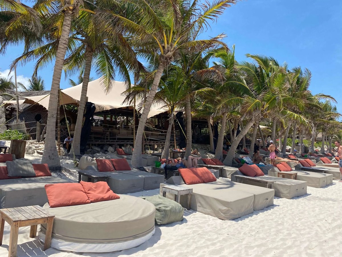 Beachfront lounge area with palm trees, comfortable seating pods with orange cushions, and sandy ground under blue sky