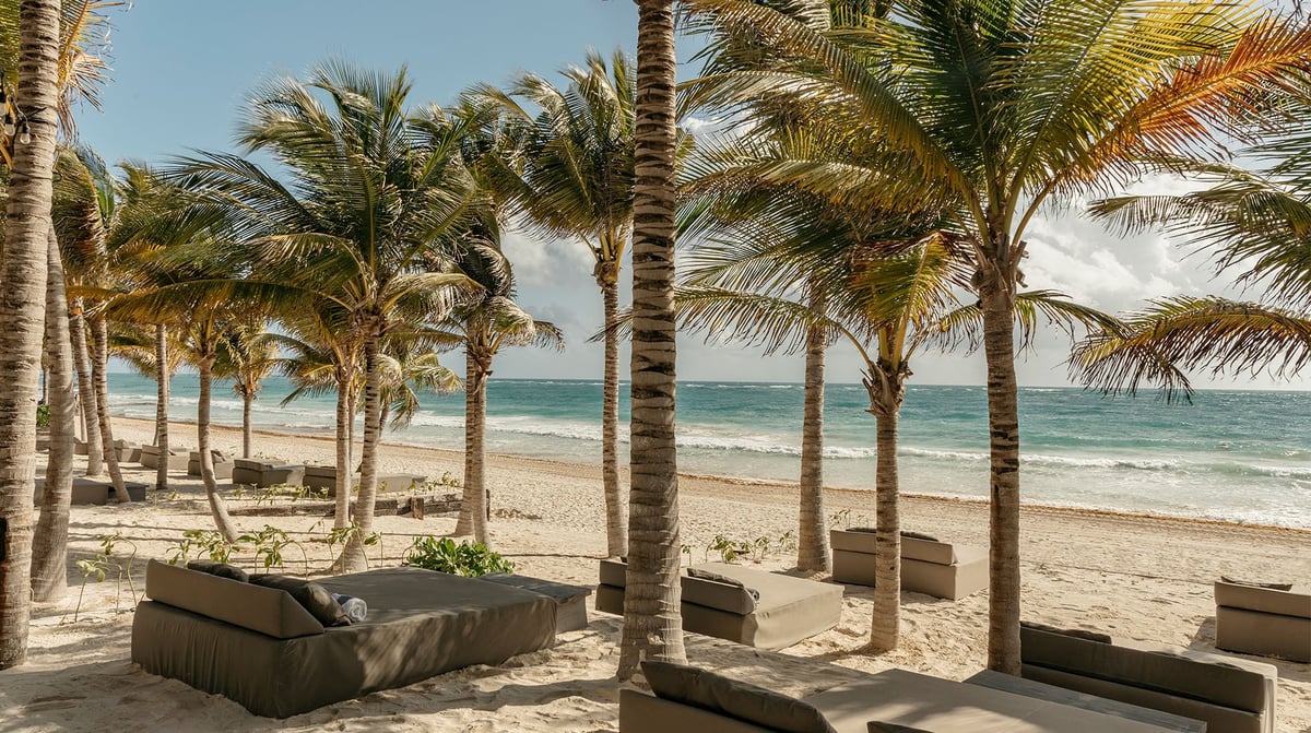 Tropical beach scene with palm trees, sandy shore, and turquoise ocean under clear blue sky