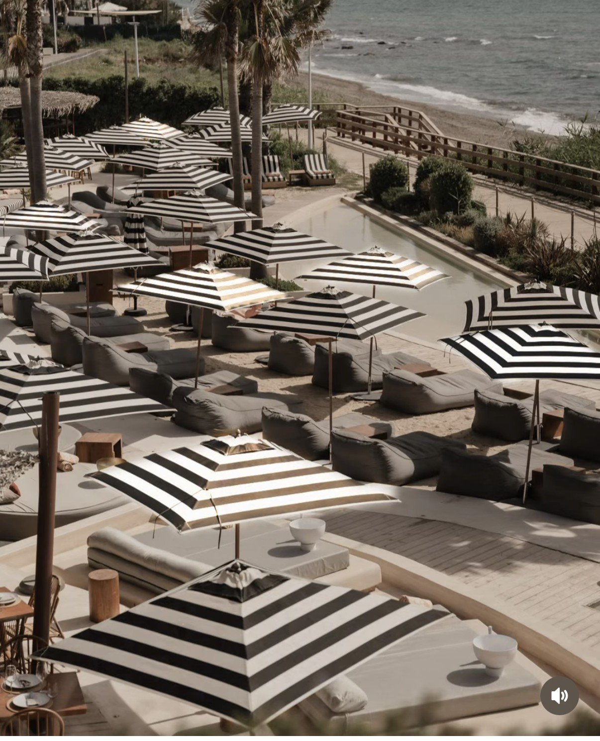 Beachfront resort patio with black and white striped umbrellas, loungers, and palm trees overlooking the ocean.