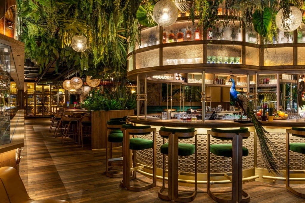 Modern restaurant interior with green hanging plants, wooden bar seating, pendant lighting, and warm ambient lighting throughout the dining space