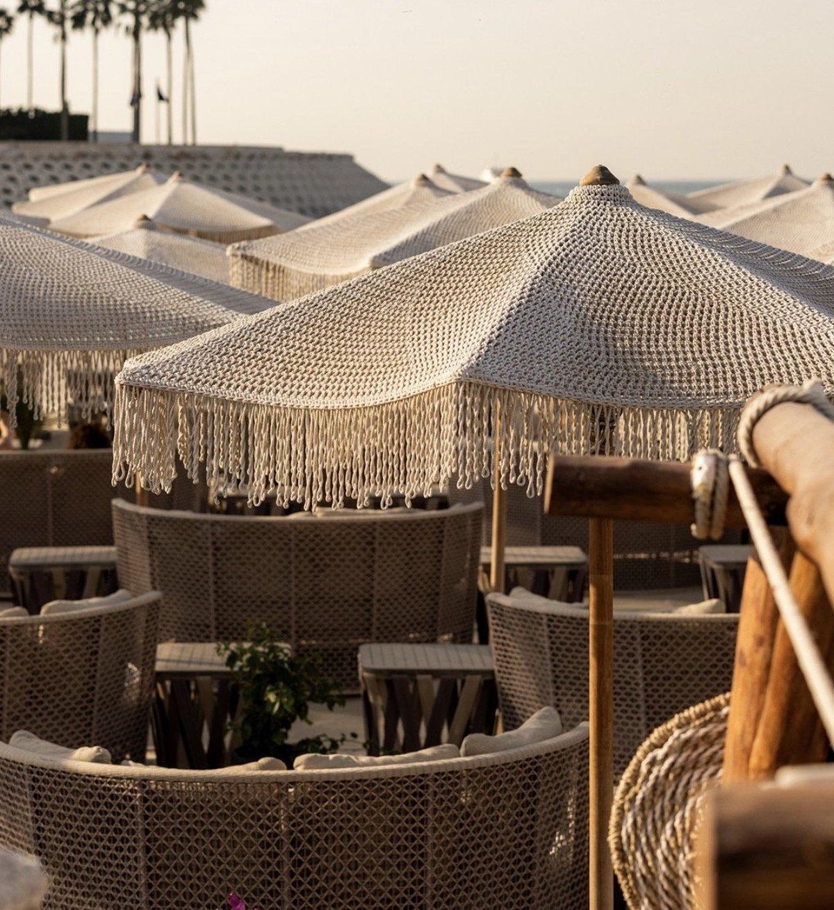 Multiple beige umbrellas with fringe trim covering outdoor lounge seating area with woven chairs and palm trees in background