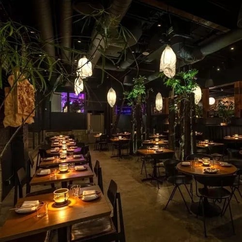 Modern restaurant interior with hanging pendant lights, wooden tables set for dining, black chairs, and lush hanging plants creating an upscale ambiance